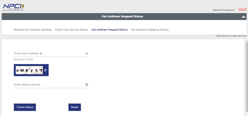 Npci dbt status